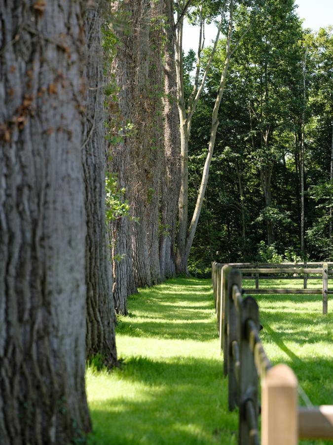 B & B St-Hubert Sint-Martens-Lennik Eksteriør bilde